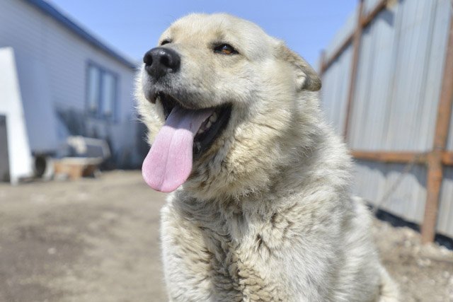 Фото: Архив АП