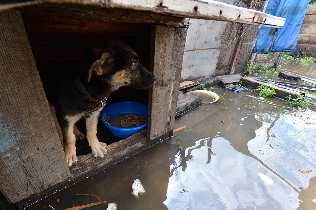 Фото: архив АП