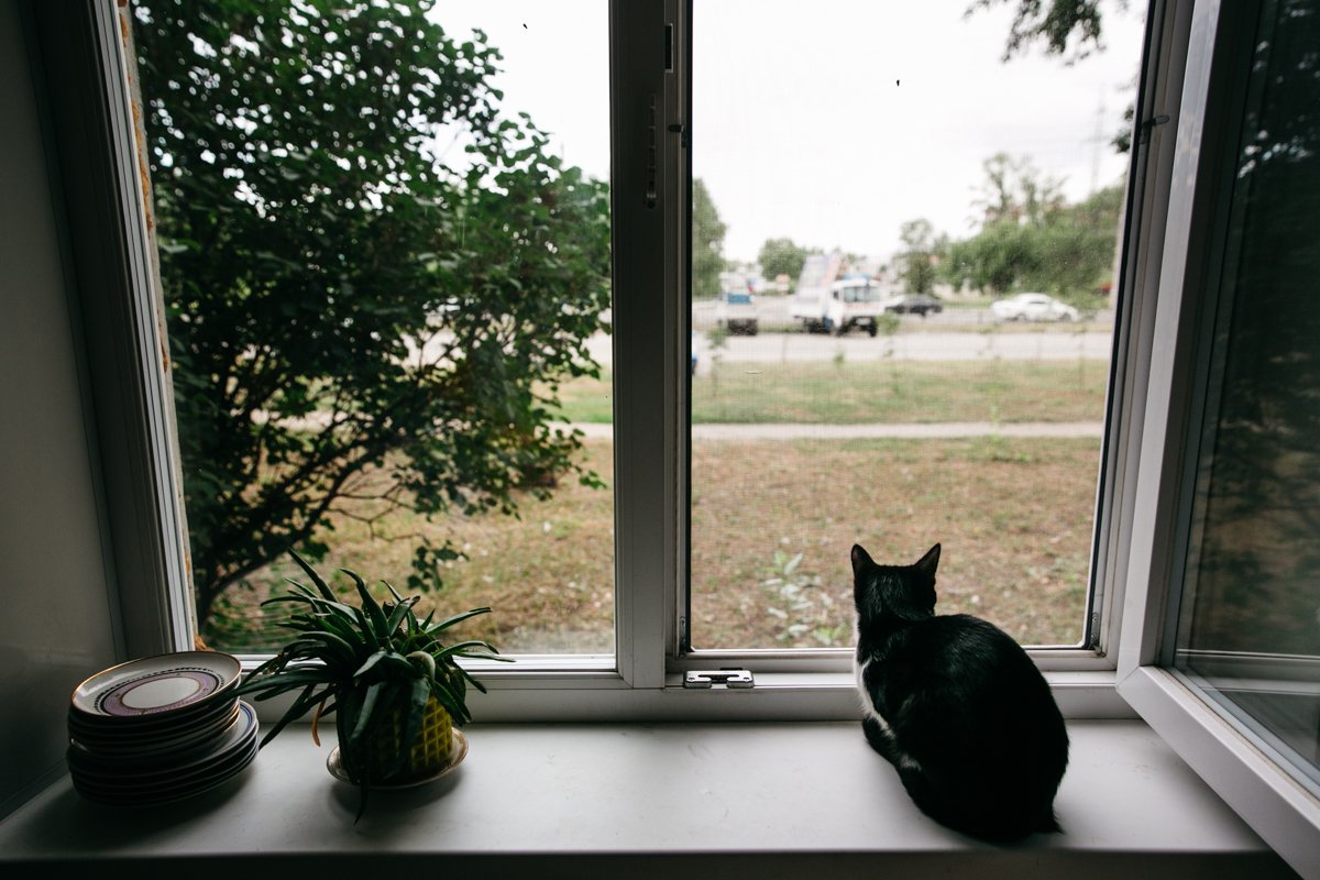 Фото: Сергей Лазовский