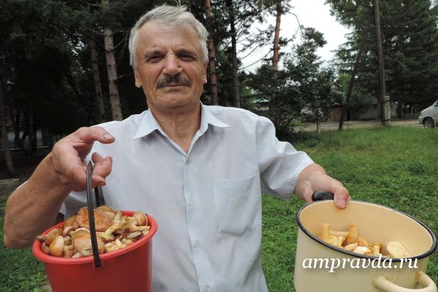 В амурских лесах начали собирать маслята, подберезовики и подосиновики / — Позавчера ходил, штук пять с трудом нашел, сегодня четыре литра за полтора часа набрал, — демонстрирует небольшое полное ведерко маслят житель села Садового Владимир Чепелев. — Дождик пролил, они и полезли. Мокро только очень, нужно обязательно прорезиненный костюм надевать. А в целом грибы будут!