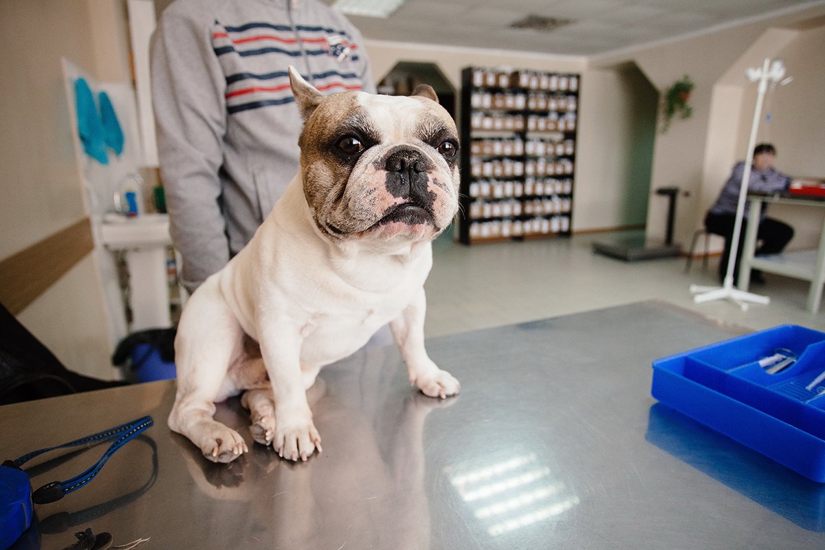 Фото: Сергей Лазовский (архив)