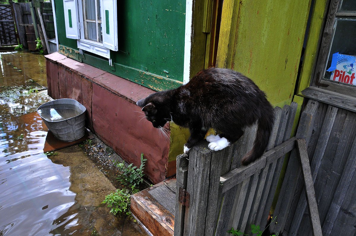 Фото: Архив АП
