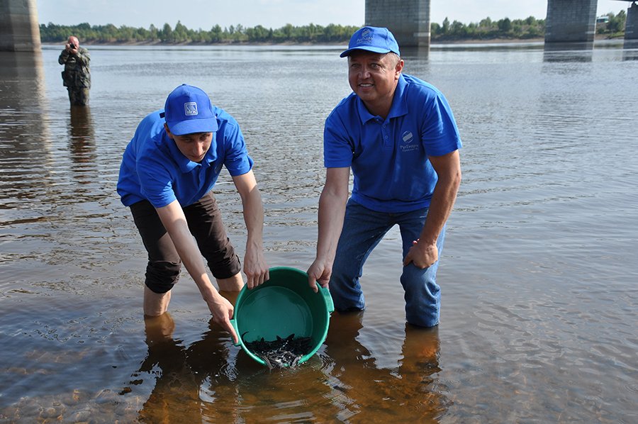 Ихтиолог Денис Коцюк и замдиректора Бурейской ГЭС Владимир Горшенин выпускают мальков