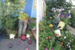 Клумба в джинсах и ведре: АП завершила конкурс «Цветы моего лета»