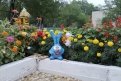 Марина Расчесаева однажды разбила клумбу, а сейчас там мини-сад в Крошем, рассказала Диана Лойко.