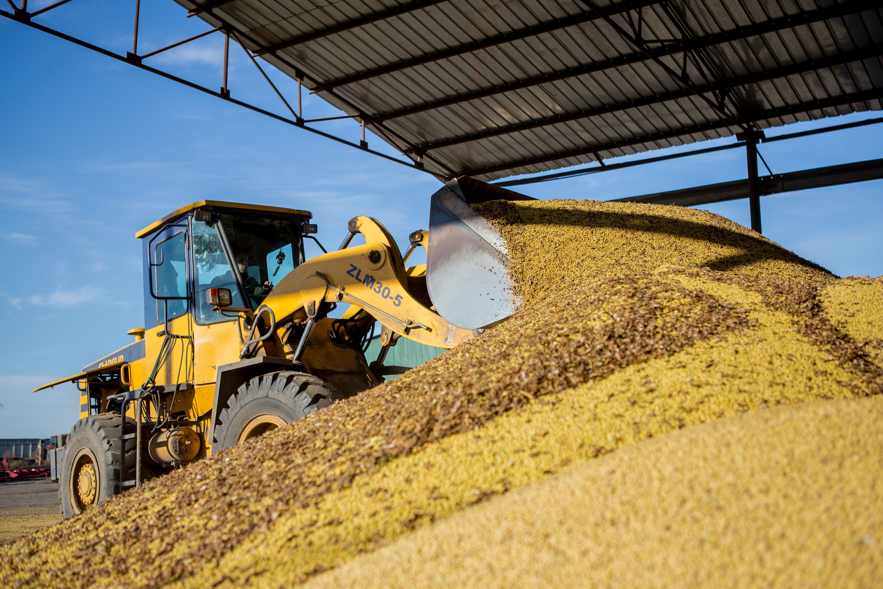 Фото: Игорь Агеенко (архив)