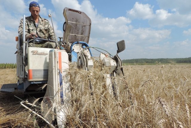 Стабильность экономики сельхозпроизводства — это залог его выживания.
