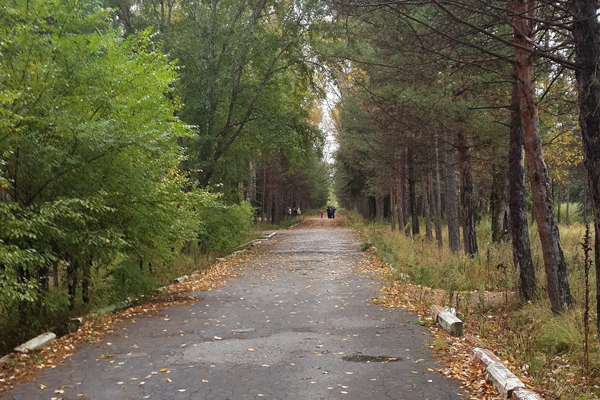 Фото: Архив АП