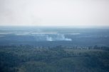 В Приамурье действуют четыре лесных пожара