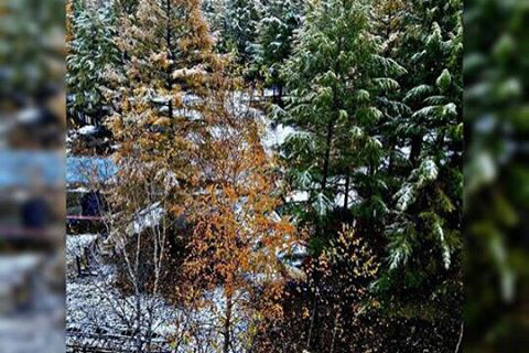 Фото: Максим Ермаков