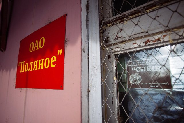 Фото: Архив АП