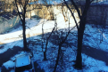 lena_androsova1995