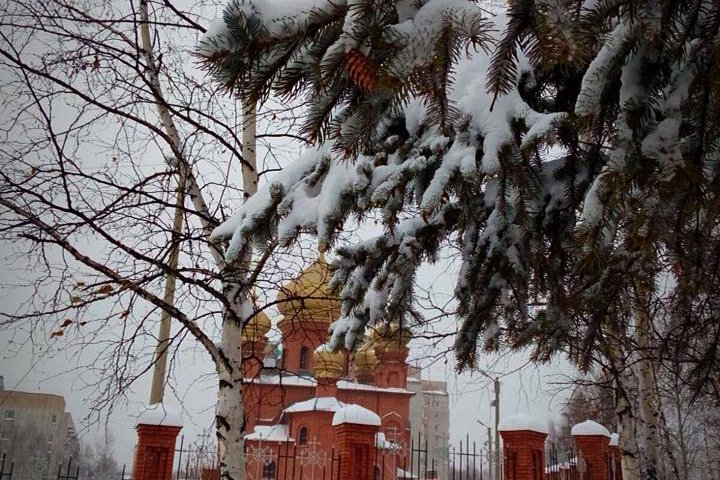 Фото: Надежда Миронова