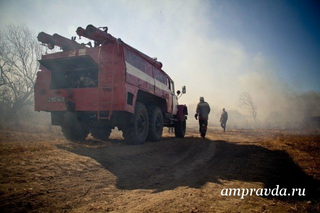 Фото: Архив АП