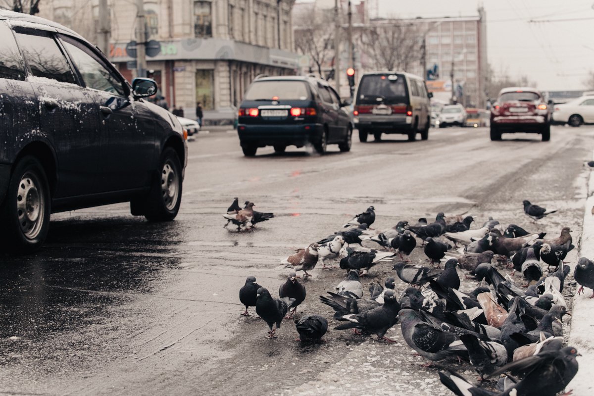 Фото: Сергей Лазовский