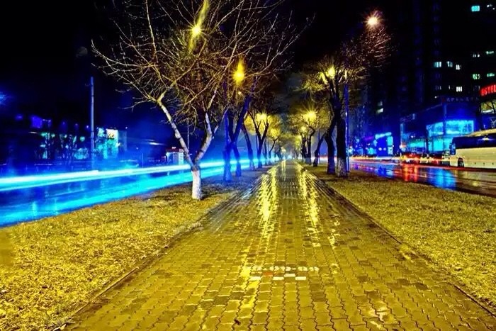 Фото: Светлана Панкова