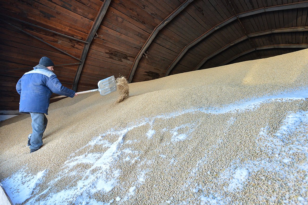 Фото: Архив АП