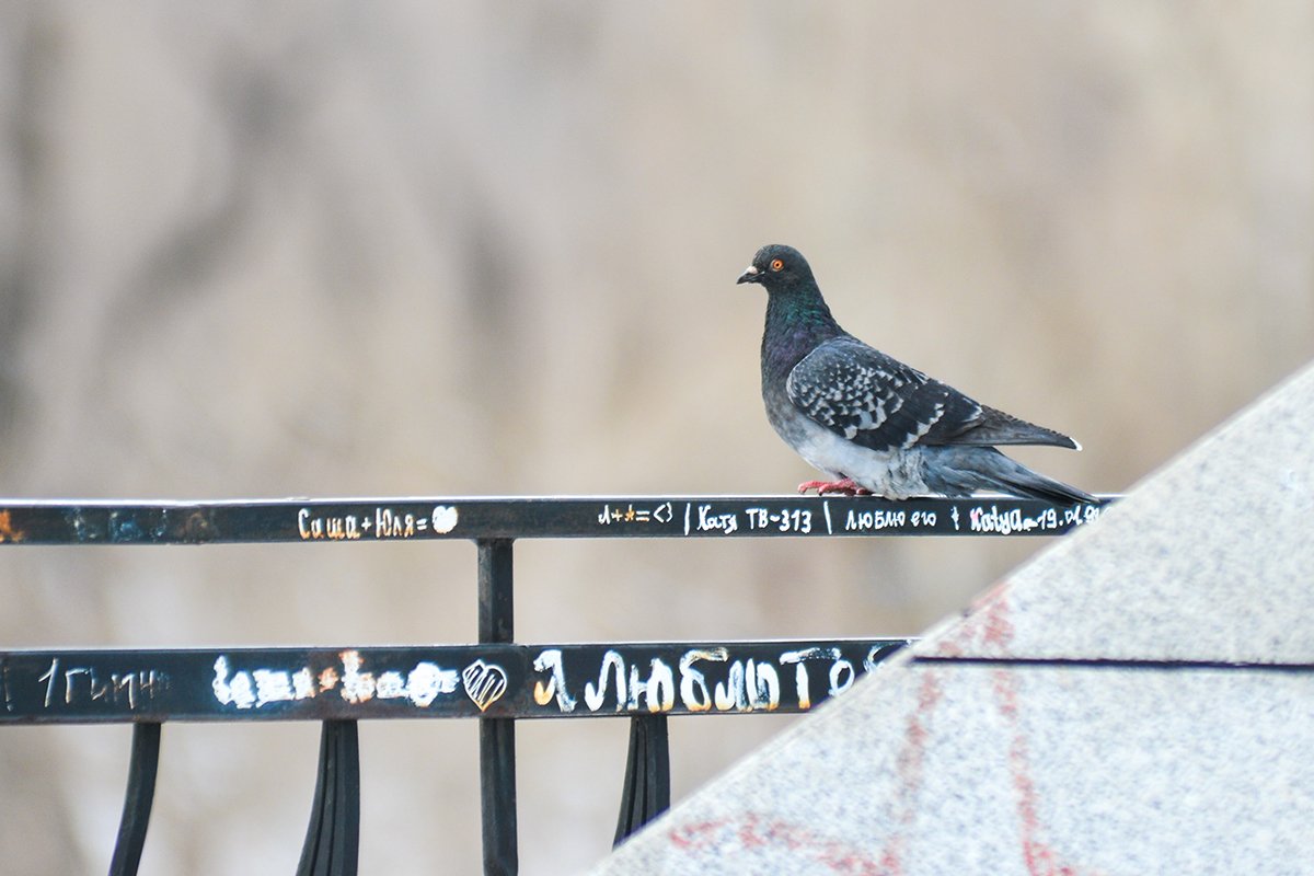 Фото: Андрей Ильинский (Архив АП)