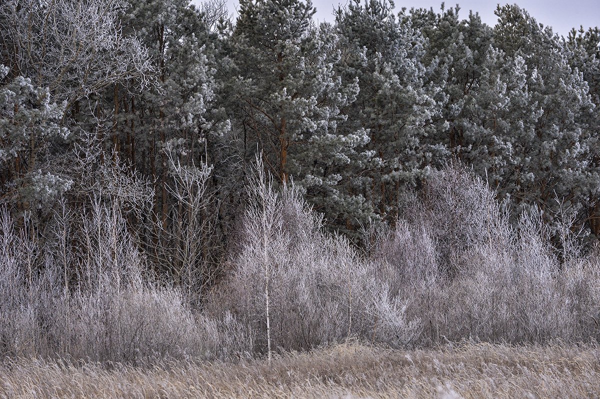 Фото: Архив АП