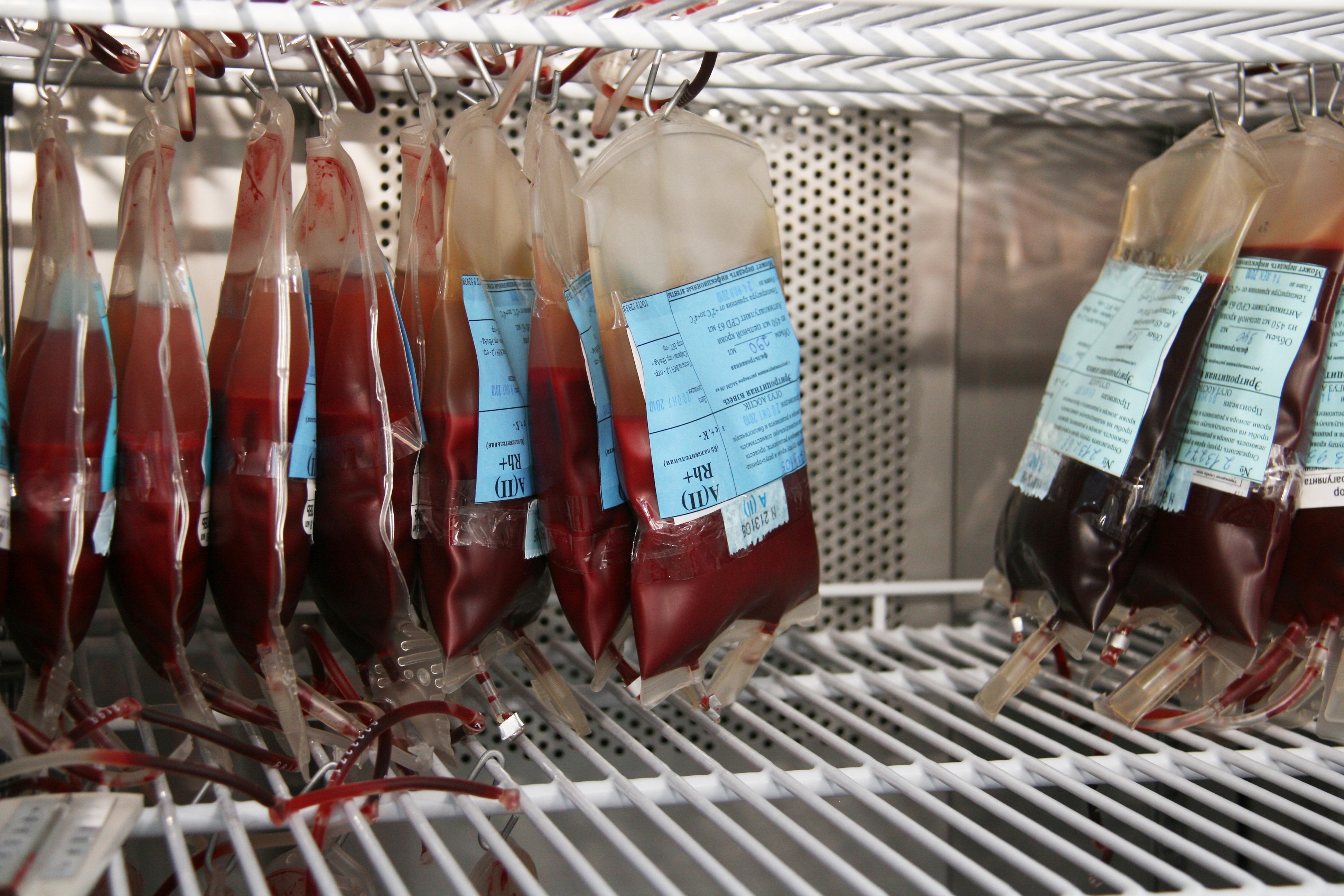 Фото: Архив АП