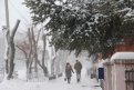 Фото: Архив АП