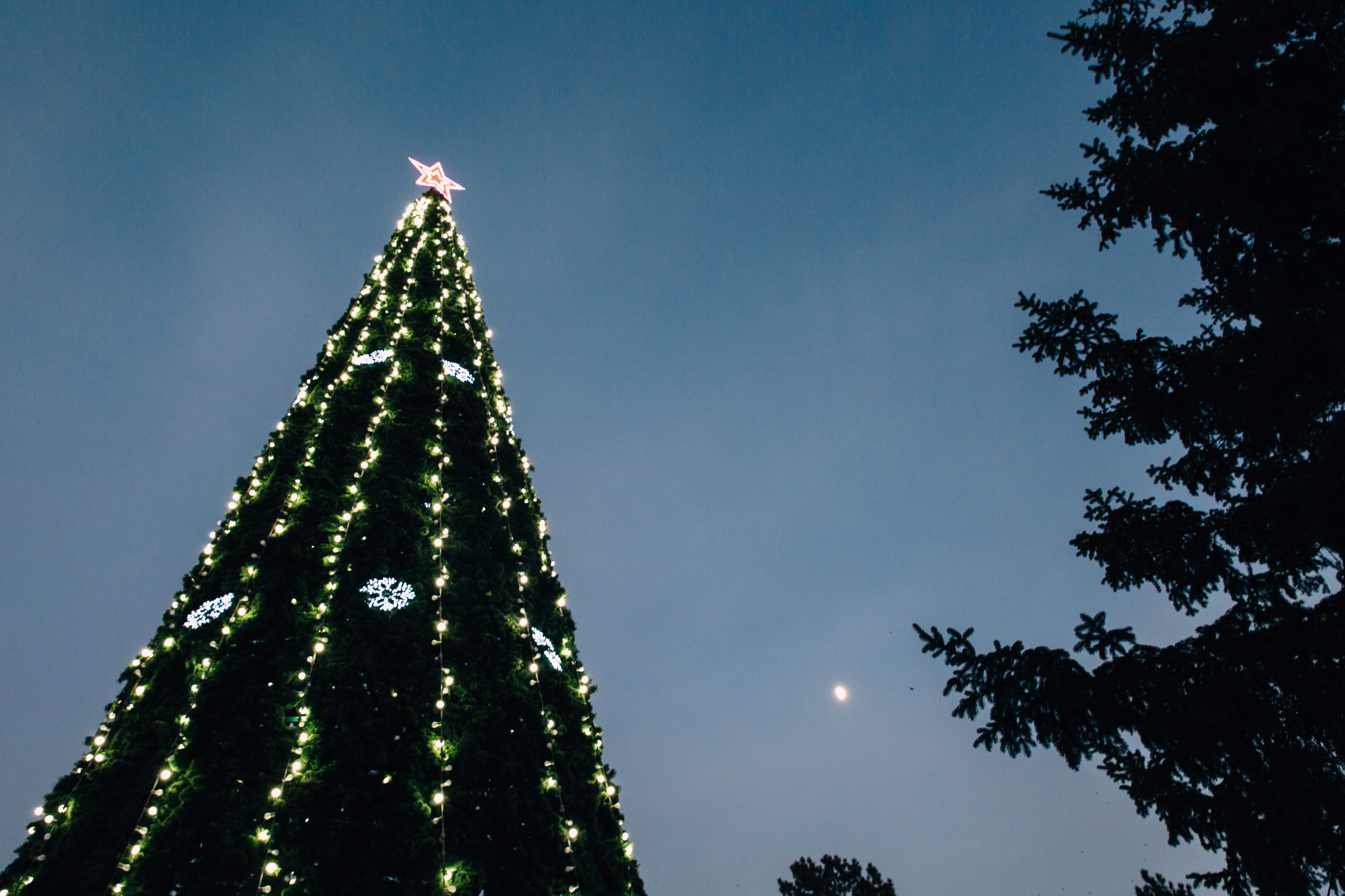 Фото: Сергей Лазовский