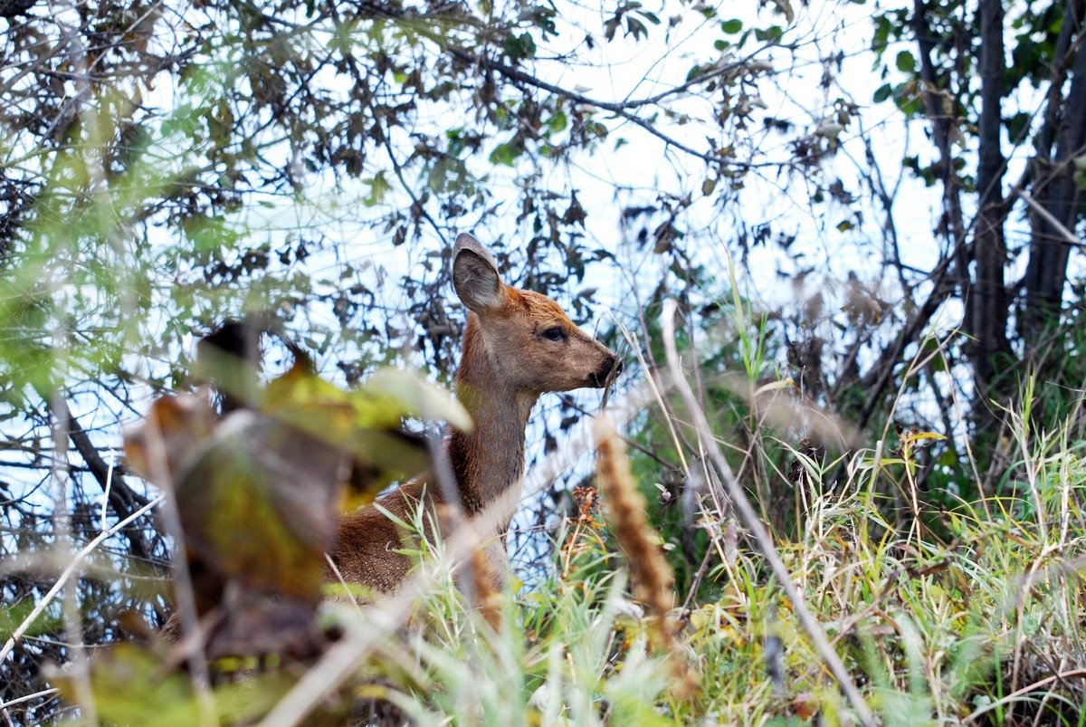 Фото: Андрей Анохин (архив)