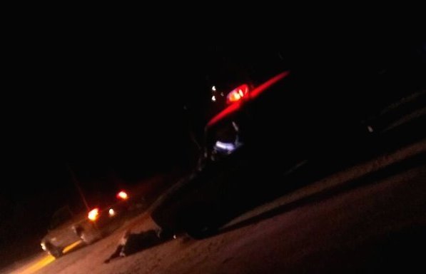 Фото: «Зейские огни»