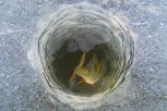 В Приамурье охотоведы провентилируют озера для спасения рыбы