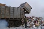 Создание официальных мусорных полигонов возьмут на себя амурские власти