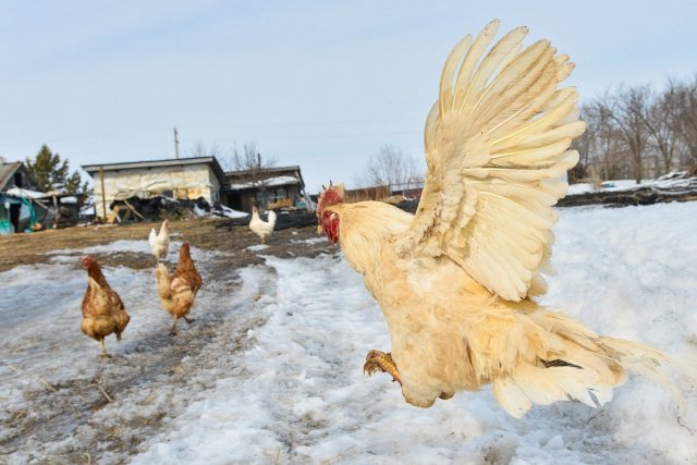 Погода воронеже 7 июля