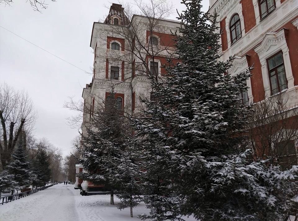 Фото: Елена Васильева