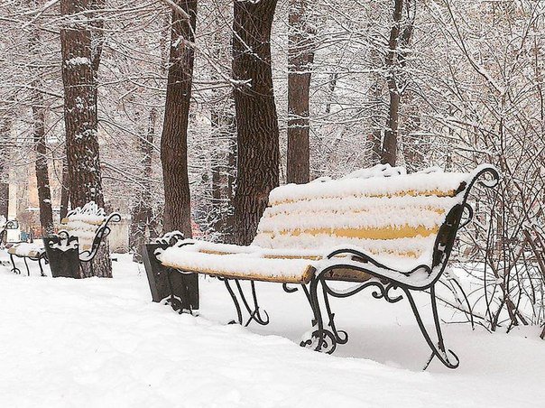 Фото: Артем Сачава