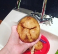 Chowmaniya. Angry potato