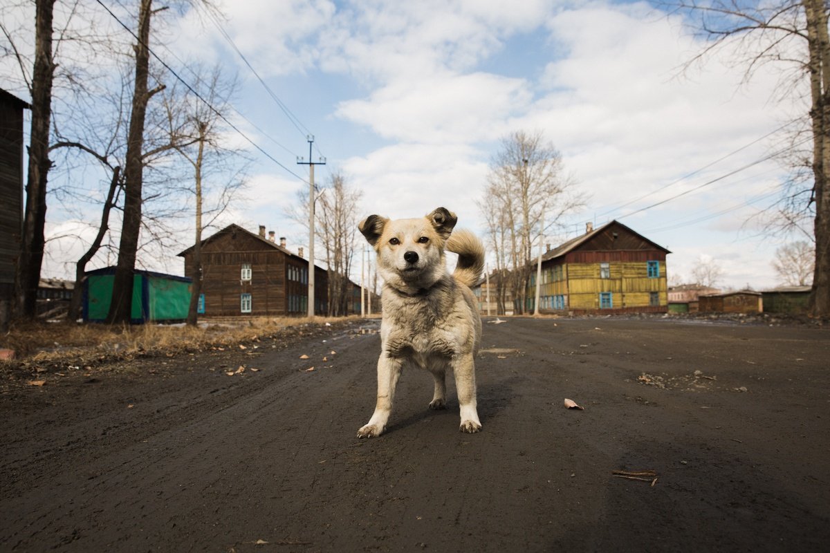 Фото: Сергей Лазовский