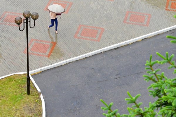 Фото: Архив АП