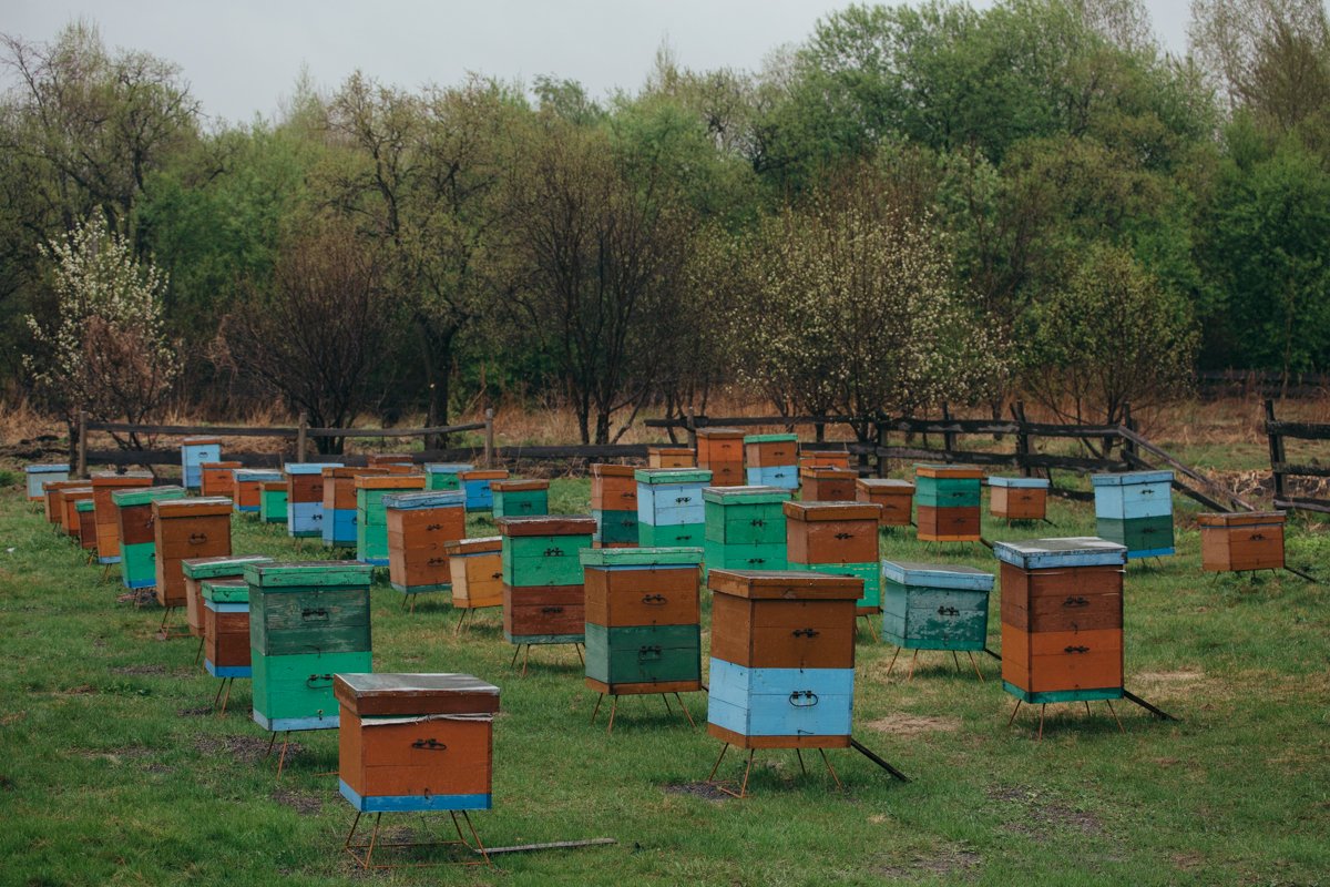 Фото: Сергей Лазовский