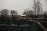 В Приамурье к ответственности привлекут 30 виновников природных пожаров