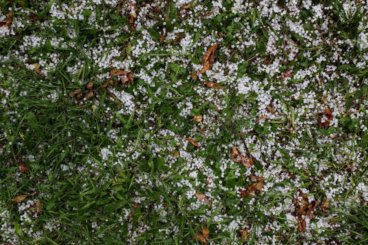 Фото: Архив АП