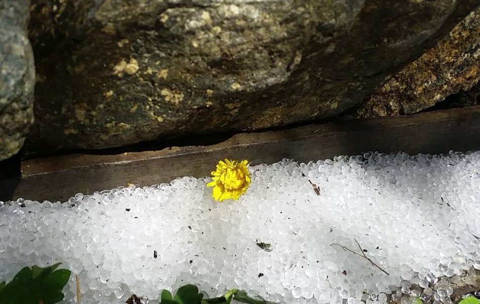 Фото: Наталья Кузнецова