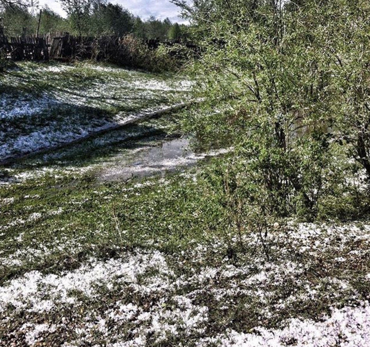 Фото: evgeniya1991_ (instagram.com)