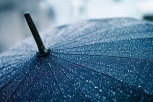Дожди задержатся в столице Приамурья