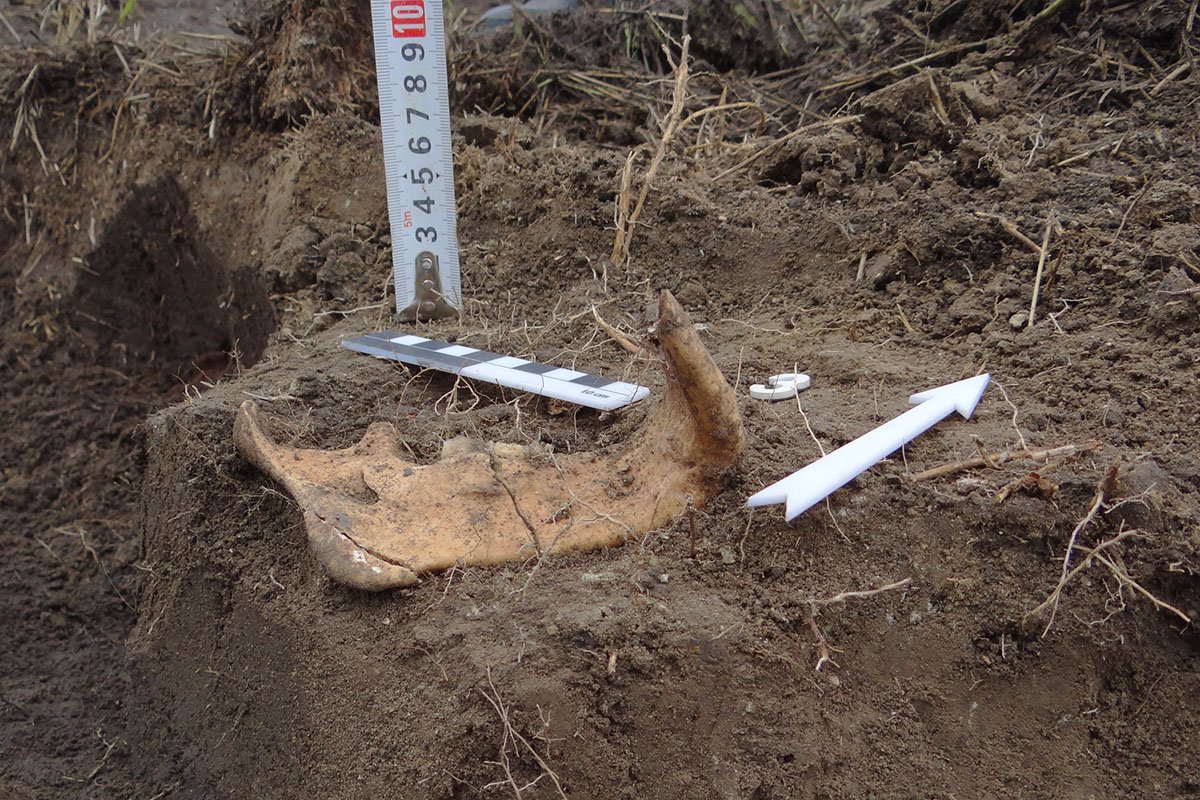 К сожалению, эти останки погибших воинов идентифицировать не представляется возможным.