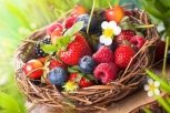 Ягоды вместо таблеток: диетологи считают ягоды лучшим средством для омоложения организма
