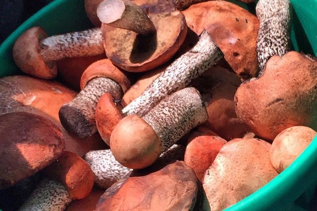 Фото: Раиса Павлова