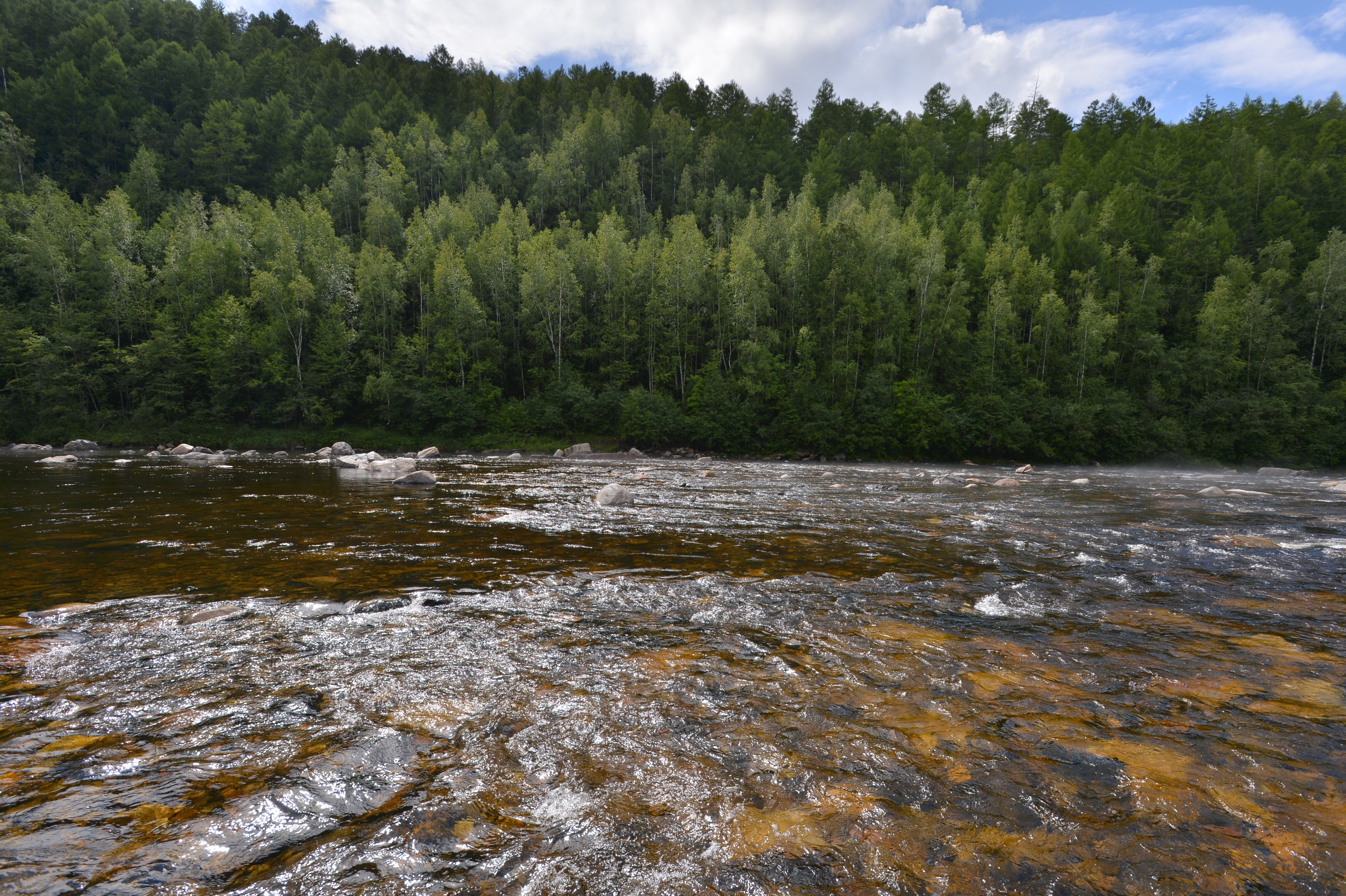 Фото: Архив АП
