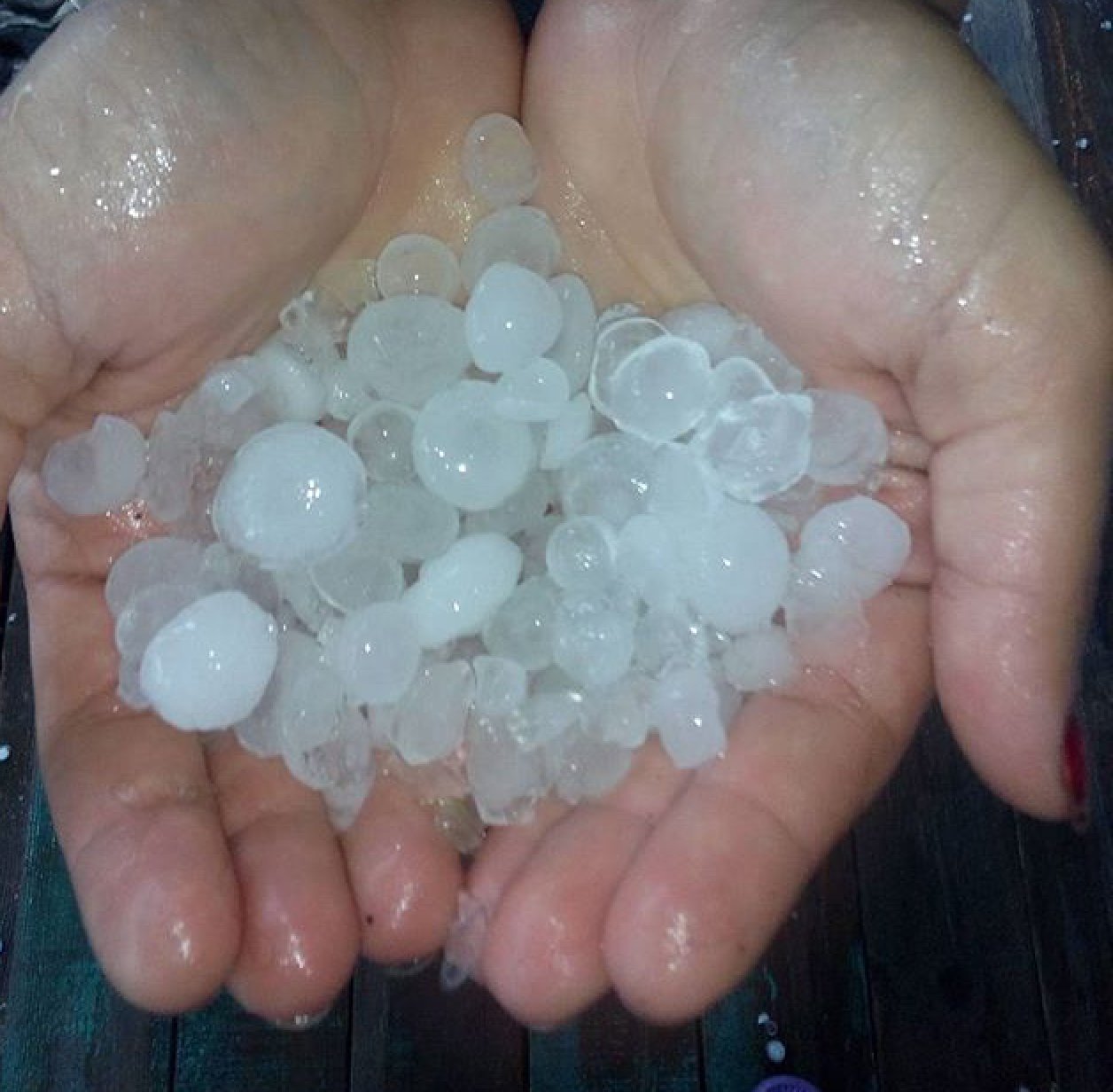 Фото: irinapetrunya18 (инстаграм)