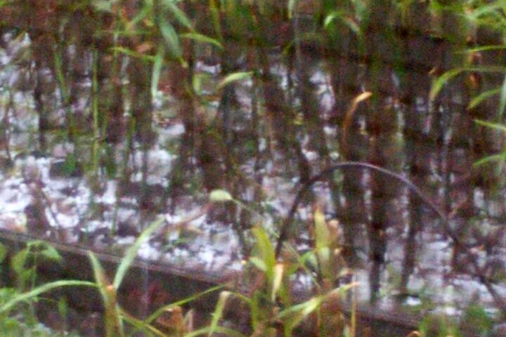 Фото: Юлия Маслова