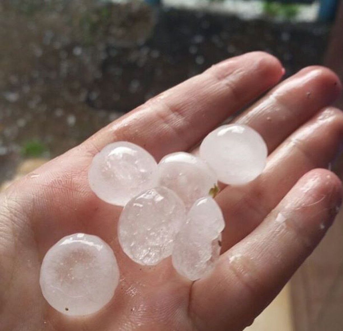 Фото: sergei_08.1982 (инстаграм)