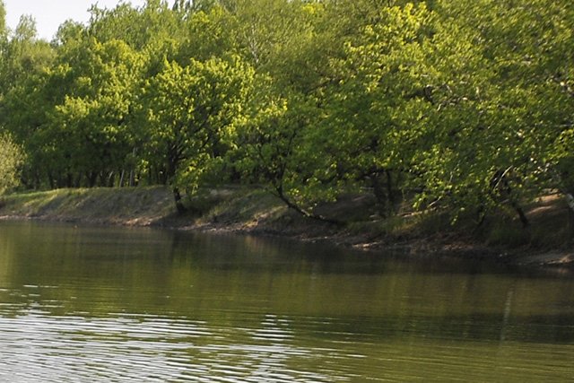 Фото: Архив АП